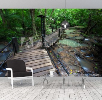 Picture of Walkway wooden for study in nature rainforest on national park at Thailand